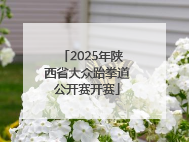 2025年陕西省大众跆拳道公开赛开赛