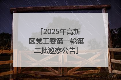 2025年高新区党工委第一轮第二批巡察公告