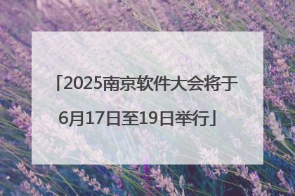 2025南京软件大会将于6月17日至19日举行