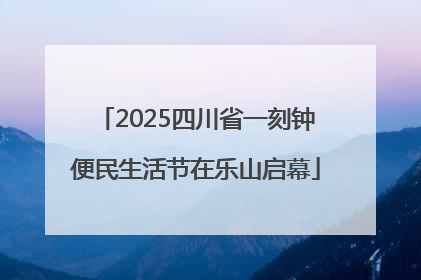 2025四川省一刻钟便民生活节在乐山启幕