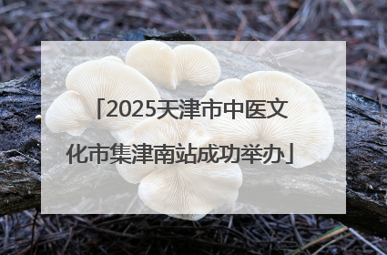 2025天津市中医文化市集津南站成功举办