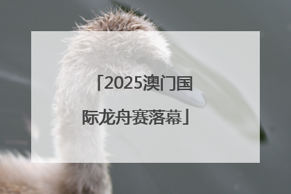 2025澳门国际龙舟赛落幕