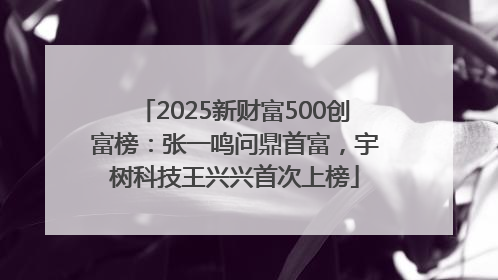 2025新财富500创富榜：张一鸣问鼎首富，宇树科技王兴兴首次上榜