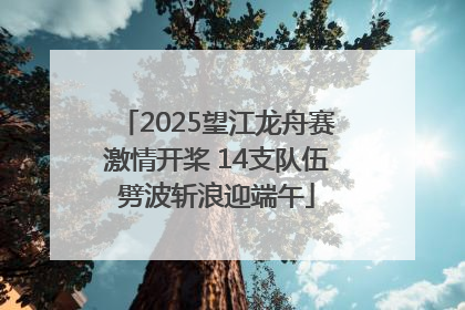 2025望江龙舟赛激情开桨 14支队伍劈波斩浪迎端午