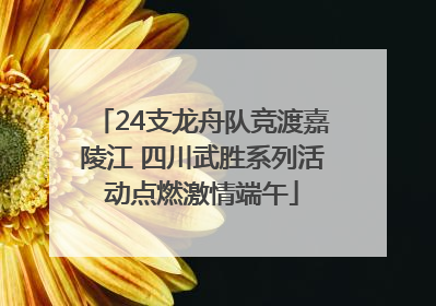 24支龙舟队竞渡嘉陵江 四川武胜系列活动点燃激情端午
