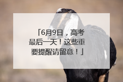 6月9日，高考最后一天！这些重要提醒请留意！