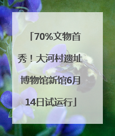 70%文物首秀！大河村遗址博物馆新馆6月14日试运行
