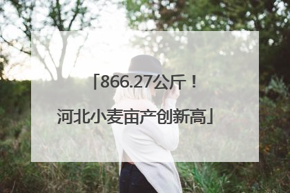 866.27公斤！河北小麦亩产创新高