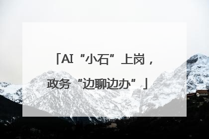 AI“小石”上岗，政务“边聊边办”