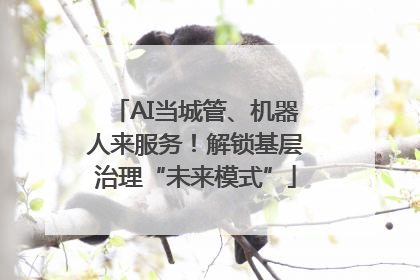 AI当城管、机器人来服务！解锁基层治理“未来模式”