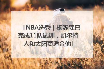NBA选秀｜杨瀚森已完成11队试训，凯尔特人和太阳更适合他