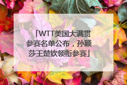 WTT美国大满贯参赛名单公布，孙颖莎王楚钦领衔参赛